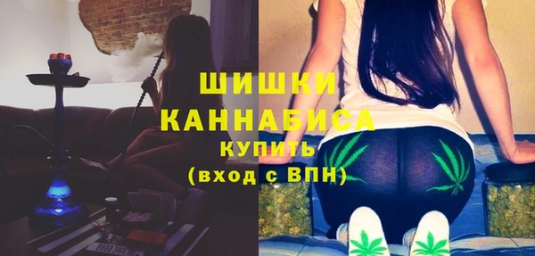 ГАЛЛЮЦИНОГЕННЫЕ ГРИБЫ Медногорск