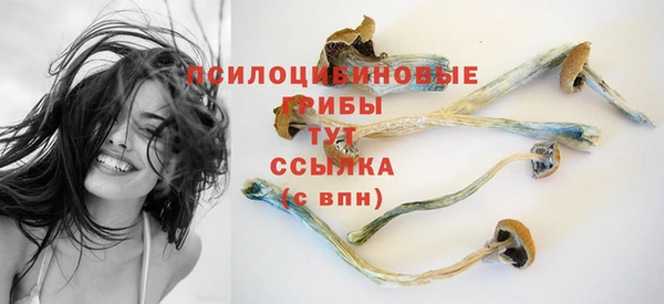 тгк Мегион