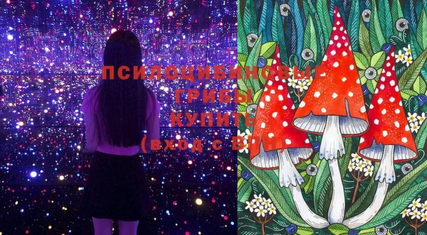 метадон Медвежьегорск