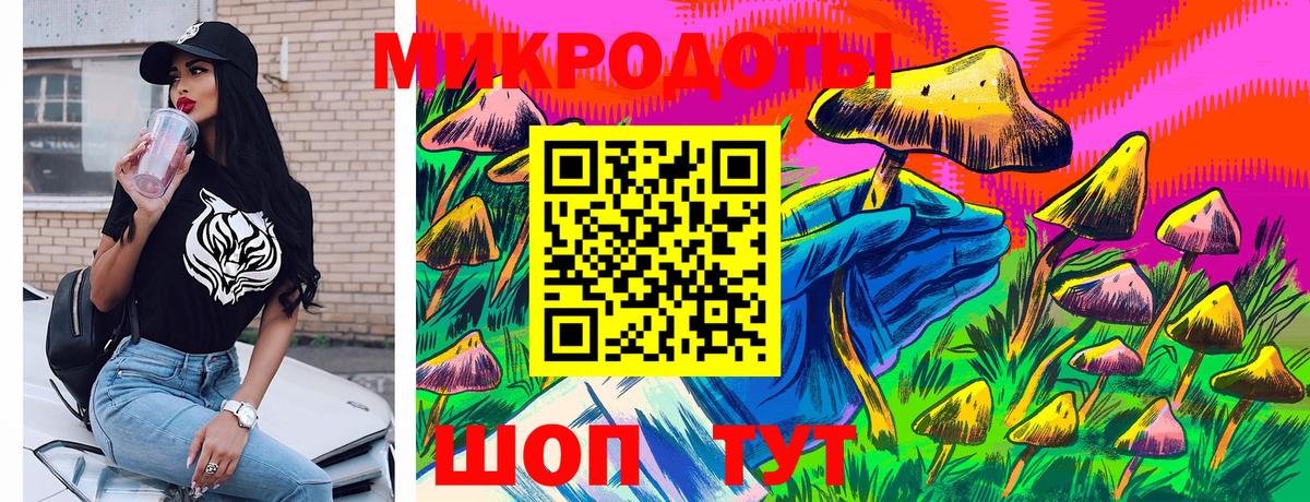 Михайловка  Псилоцибиновые грибы прущие грибы  Вход с VPN 