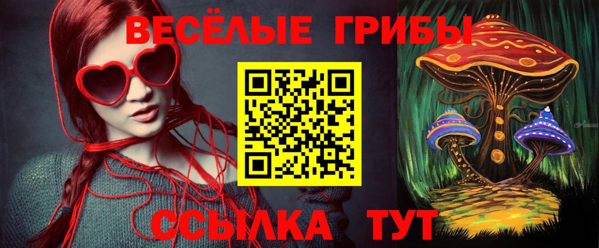 Галлюциногенные грибы прущие грибы Михайловка