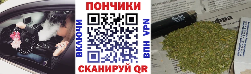 Каннабис OG Kush  Михайловка 