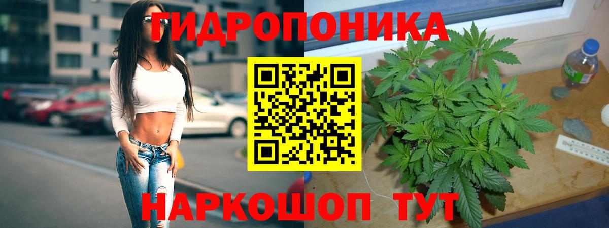 Бошки Шишки конопля Михайловка